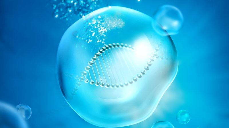 CDMO龙头企业定制流程：揭秘生物制药的“幕后英雄