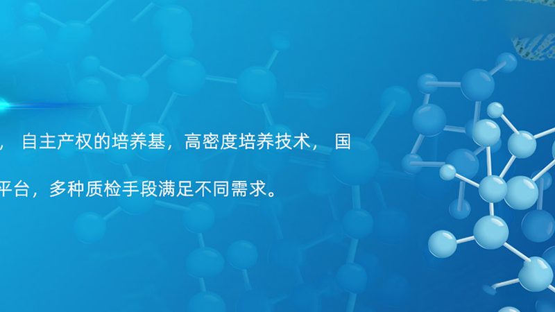 引物合成纯化，揭秘PCR实验的精准之源