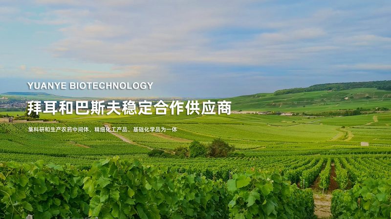 CDMO不是“外包代工”那么简单