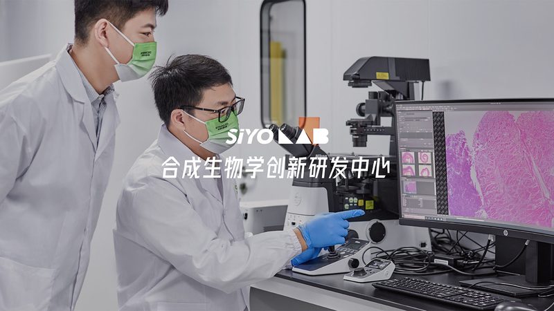 细胞培养实验室设备：如何避免操作失误与维护陷阱