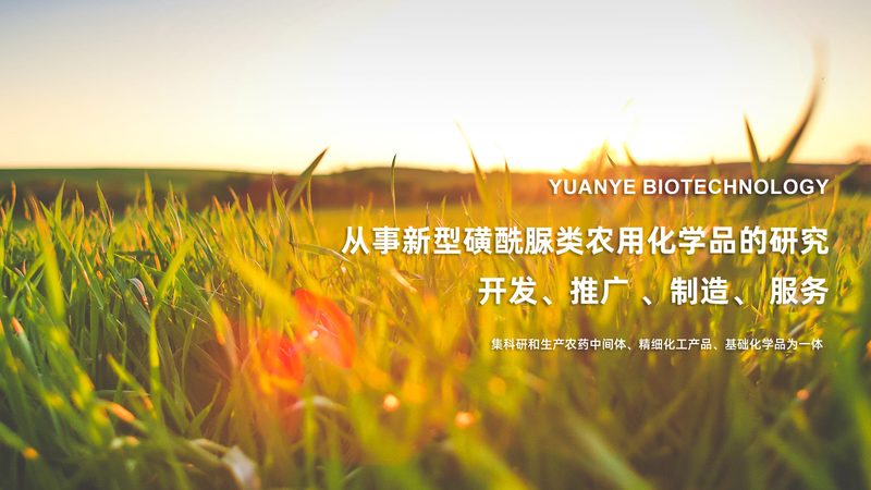 单克隆抗体采购：规格与批发价背后的行业逻辑