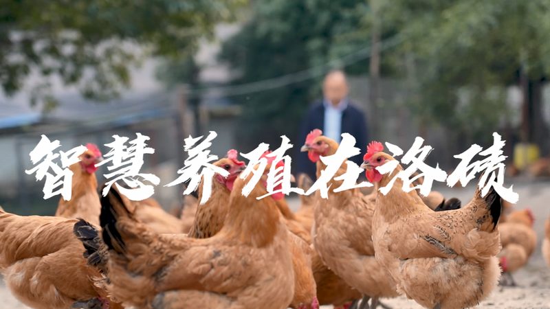 DMEM培养基的使用步骤详解：从准备到培养